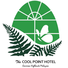 The Cool Point Hotel
