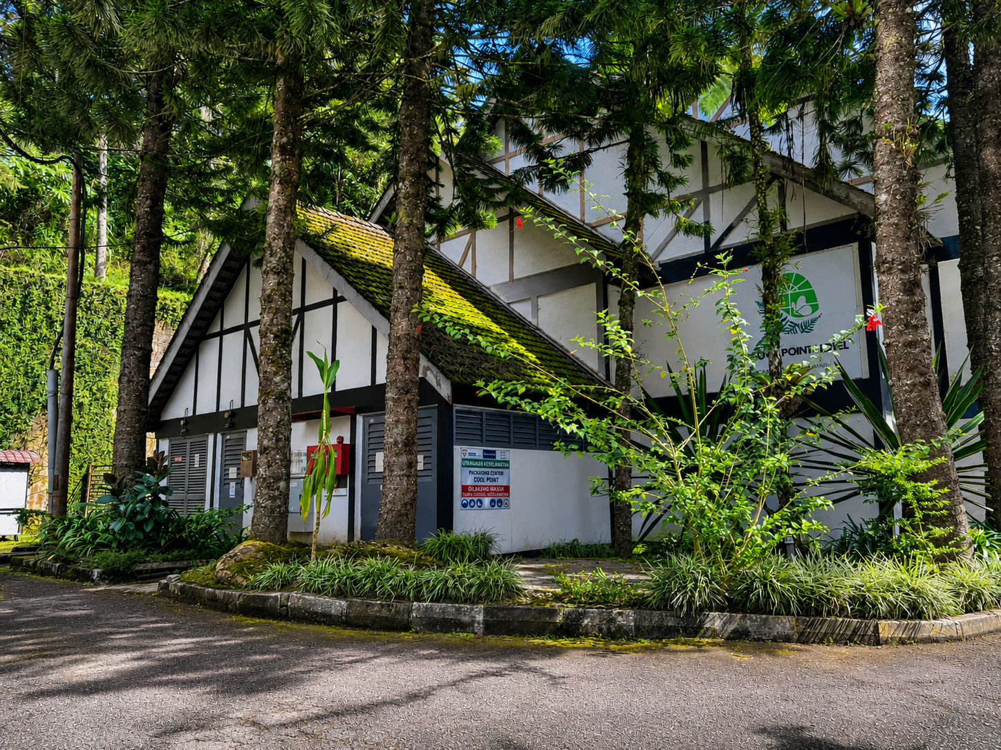 The Cool Point Hotel grounds among the pines in Tanah Rata